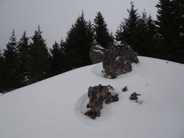 MENINA PLANINA, 26.12.2011  - foto