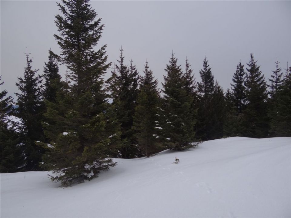 MENINA PLANINA, 26.12.2011  - foto povečava