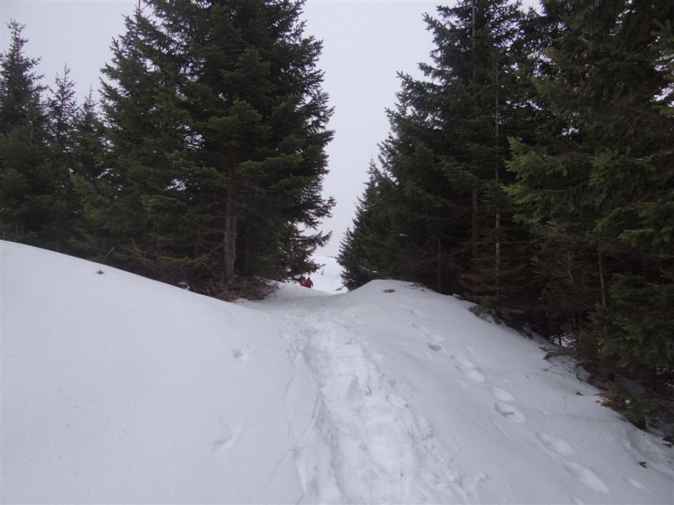 MENINA PLANINA, 26.12.2011  - foto povečava