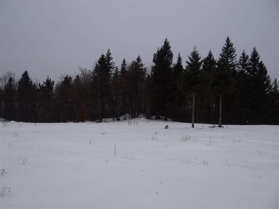 MENINA PLANINA, 26.12.2011  - foto povečava