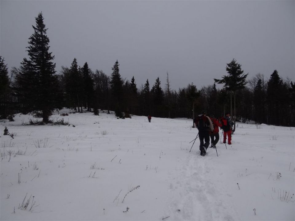 MENINA PLANINA, 26.12.2011  - foto povečava