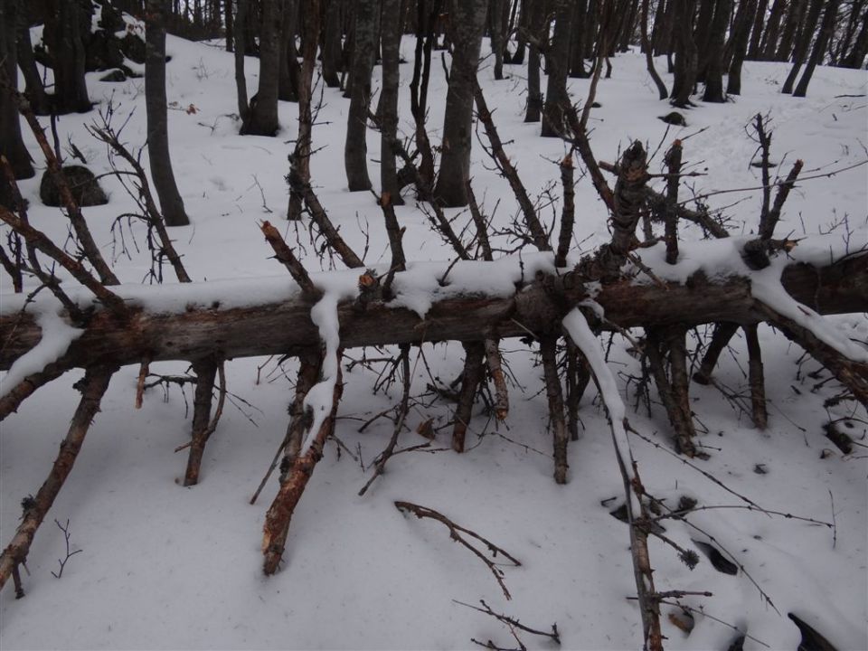 MENINA PLANINA, 26.12.2011  - foto povečava