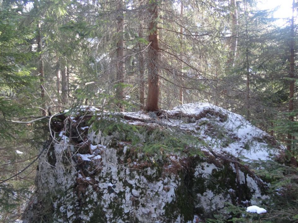 PECA, 2125m, 8.1.2012 - foto povečava