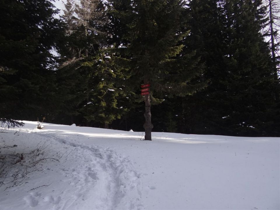 PECA, 2125m, 8.1.2012 - foto povečava