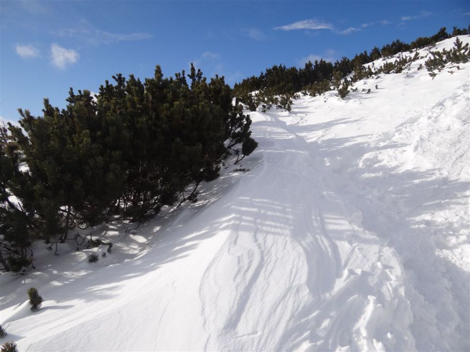 PECA, 2125m, 8.1.2012 - foto povečava