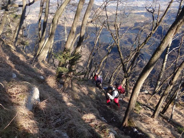 ČEMŠENIŠKA PLANINA, 15.1.2012 - foto