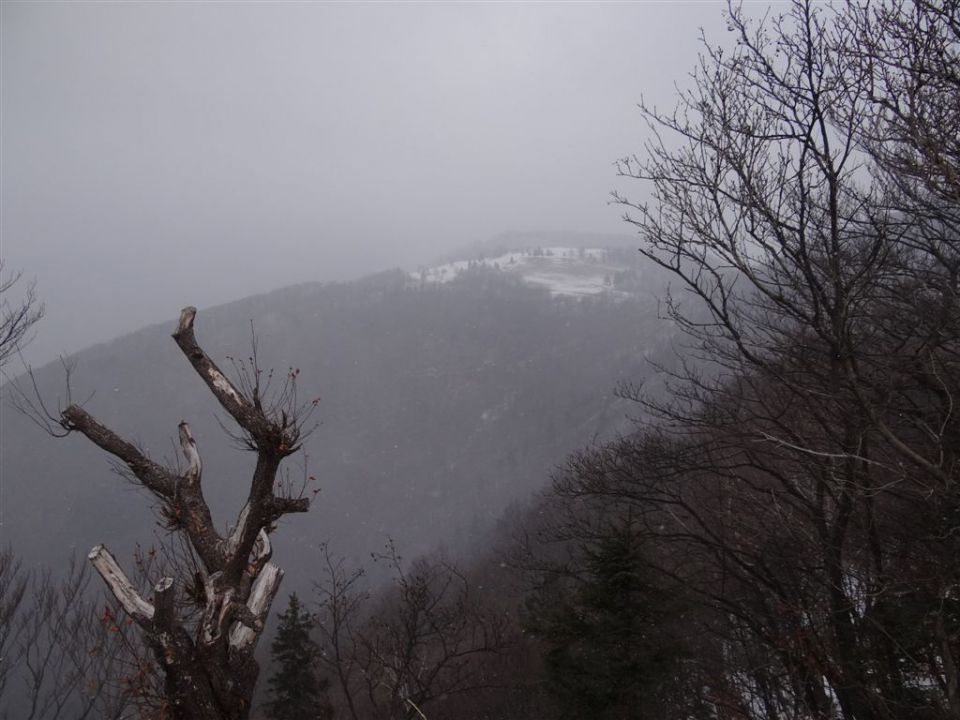 MRZLICA, 1122 m, 29.1.2012 - foto povečava