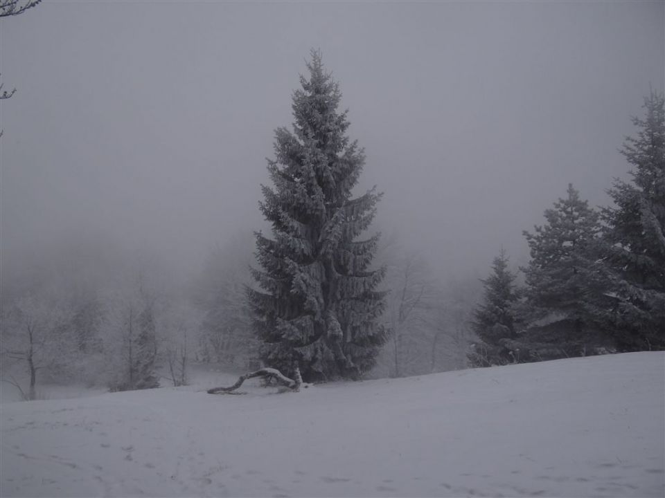 MRZLICA, 1122 m, 29.1.2012 - foto povečava