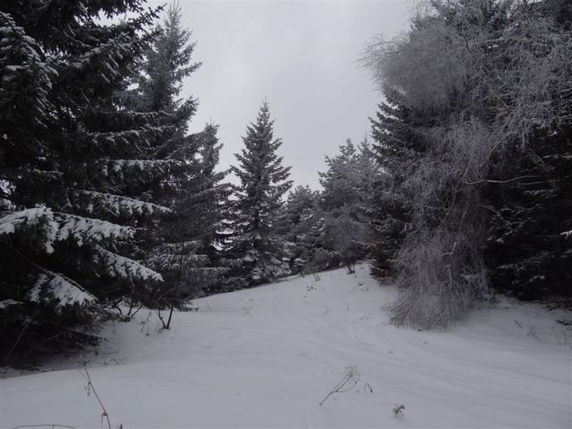 MRZLICA, 1122 m, 29.1.2012 - foto