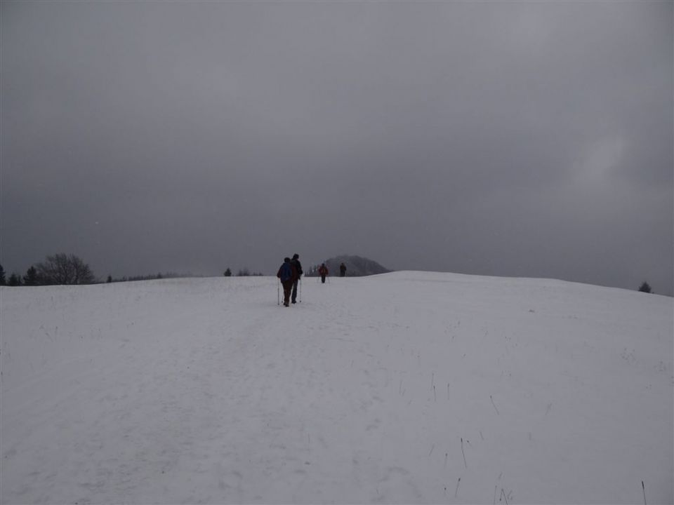 MRZLICA, 1122 m, 29.1.2012 - foto povečava