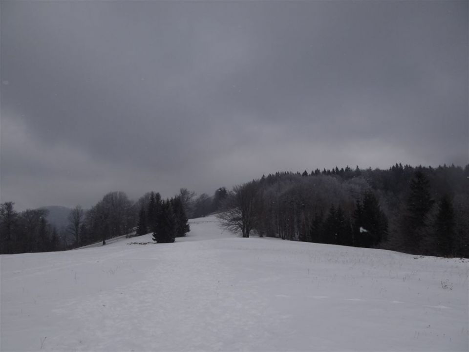 MRZLICA, 1122 m, 29.1.2012 - foto povečava