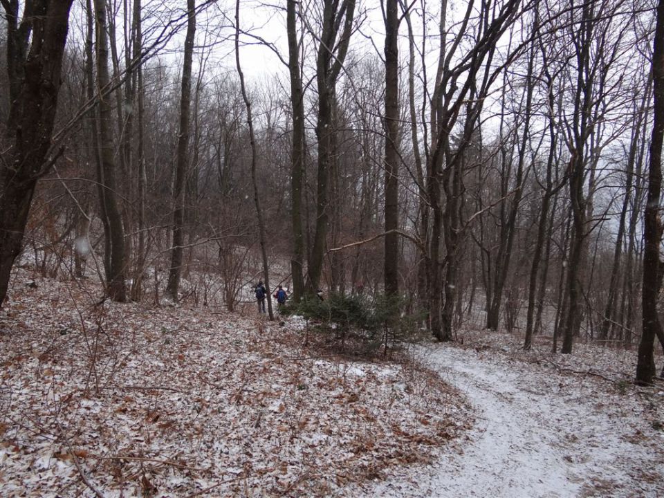 MRZLICA, 1122 m, 29.1.2012 - foto povečava