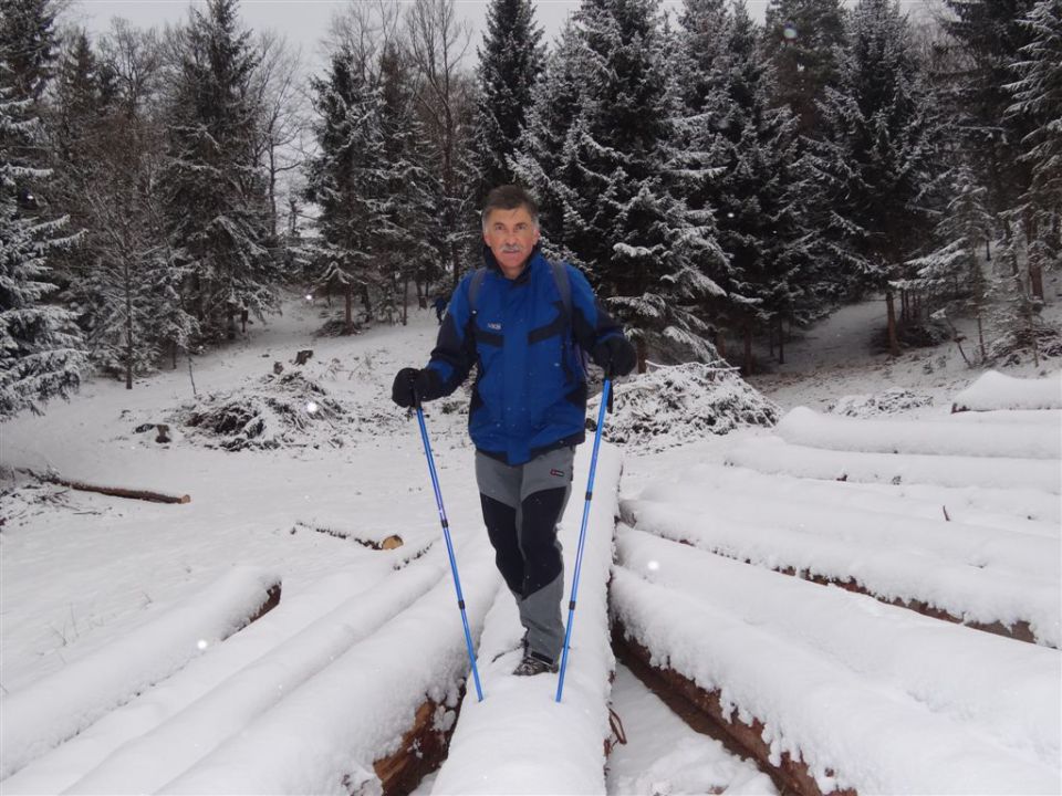 RAMŠAKOV VRH,970 m - foto povečava