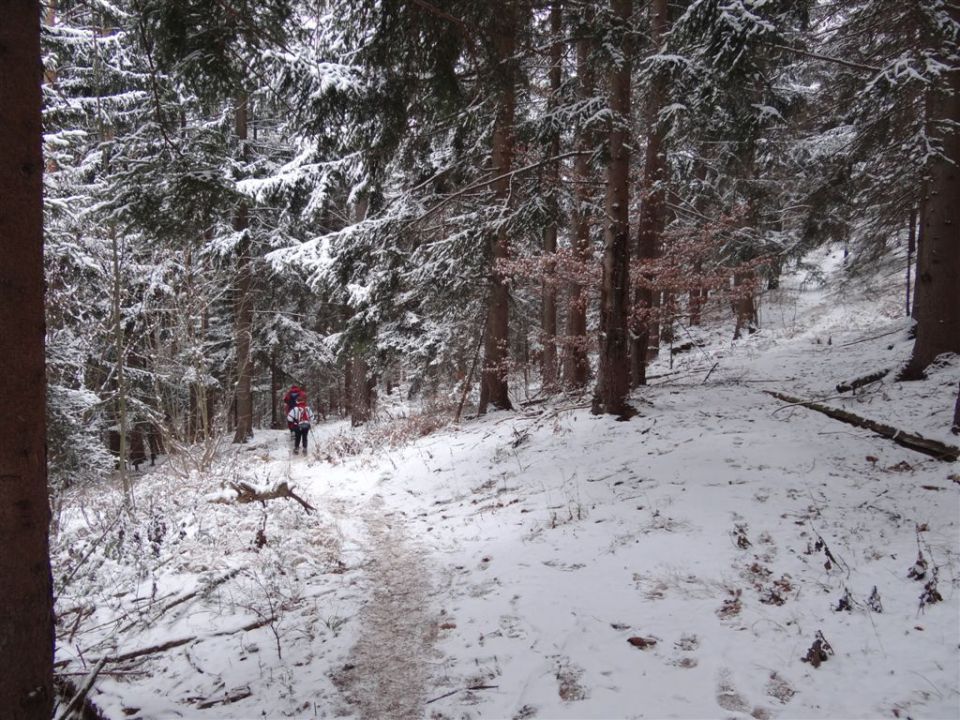 RAMŠAKOV VRH,970 m - foto povečava