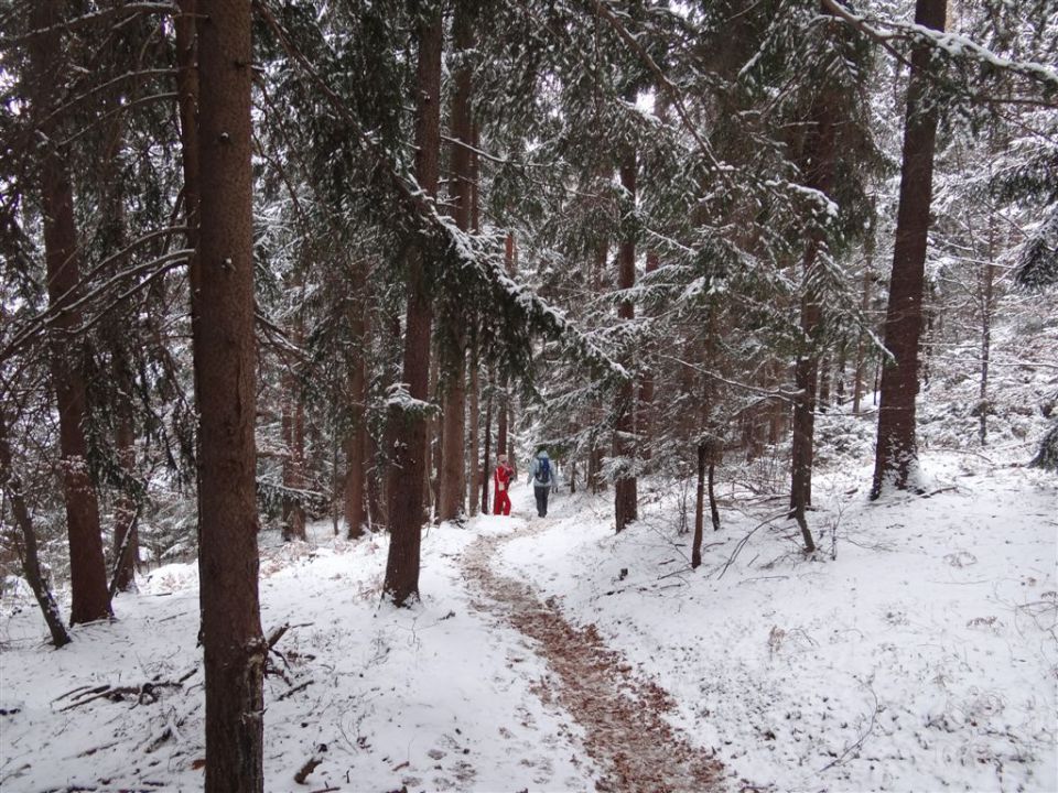 RAMŠAKOV VRH,970 m - foto povečava