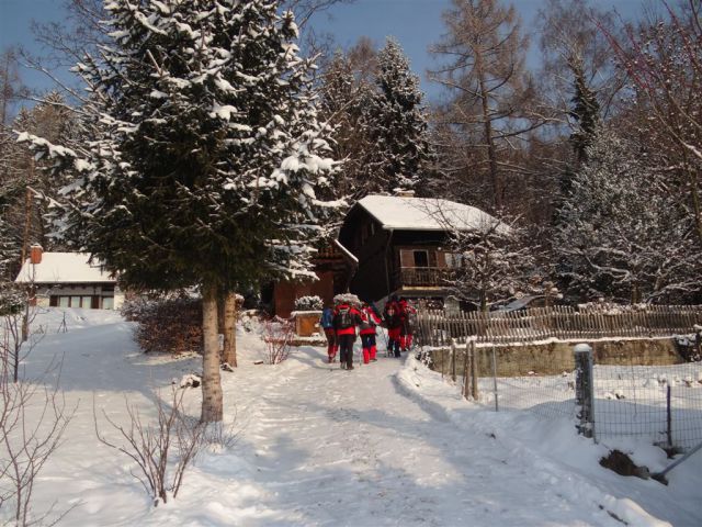 Žekovec - Mozirska koča - Golte, 8.2.2012 - foto