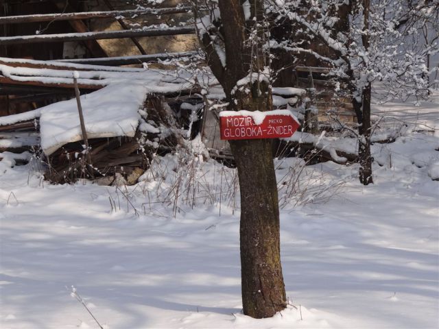 Žekovec - Mozirska koča - Golte, 8.2.2012 - foto