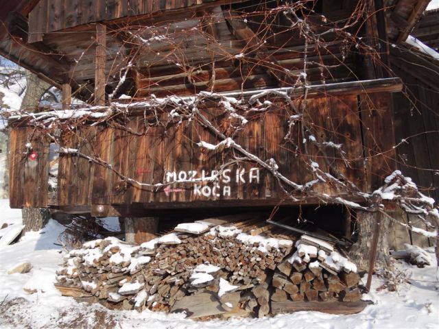 Žekovec - Mozirska koča - Golte, 8.2.2012 - foto