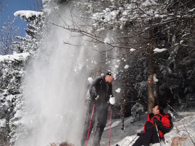 Žekovec - Mozirska koča - Golte, 8.2.2012 - foto