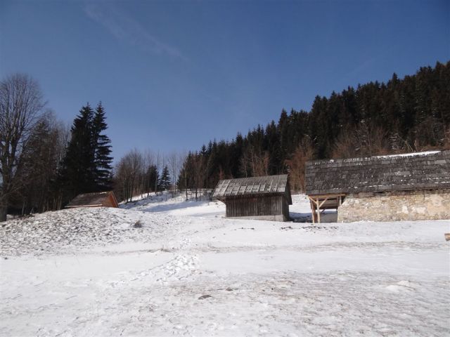 Žekovec - Mozirska koča - Golte, 8.2.2012 - foto