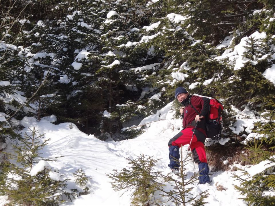 Žekovec - Mozirska koča - Golte, 8.2.2012 - foto povečava