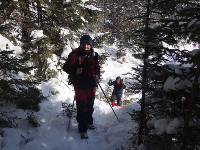 Žekovec - Mozirska koča - Golte, 8.2.2012 - foto