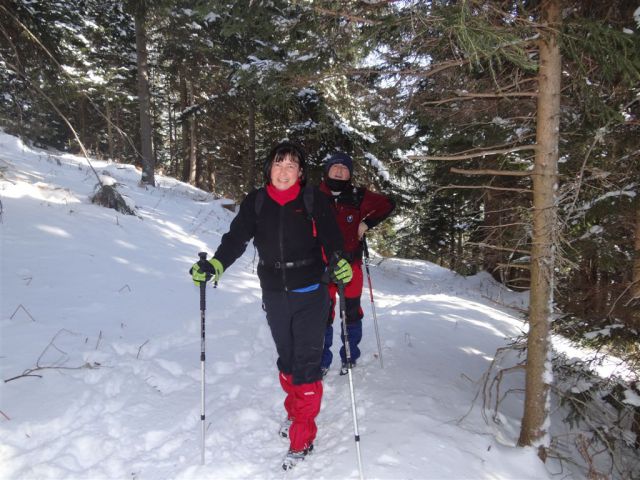 Žekovec - Mozirska koča - Golte, 8.2.2012 - foto