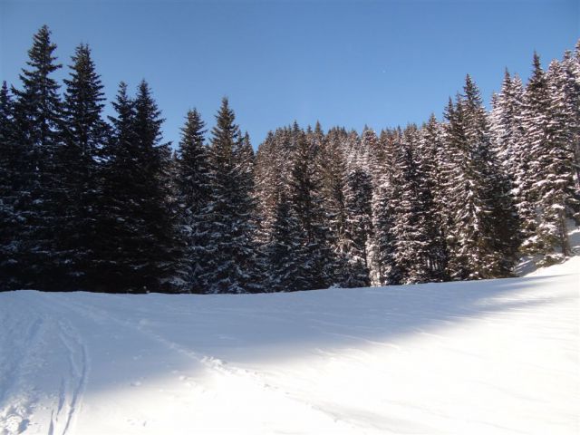 Žekovec - Mozirska koča - Golte, 8.2.2012 - foto