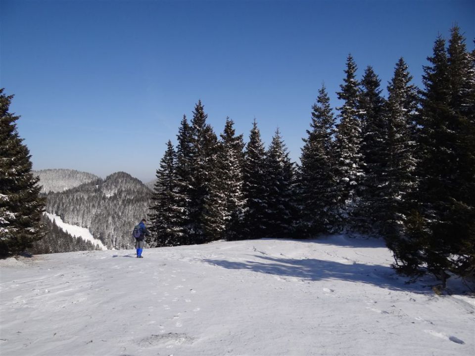 Žekovec - Mozirska koča - Golte, 8.2.2012 - foto povečava