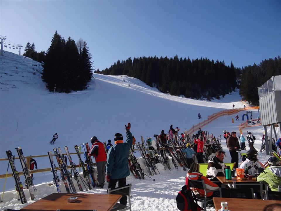 Žekovec - Mozirska koča - Golte, 8.2.2012 - foto povečava