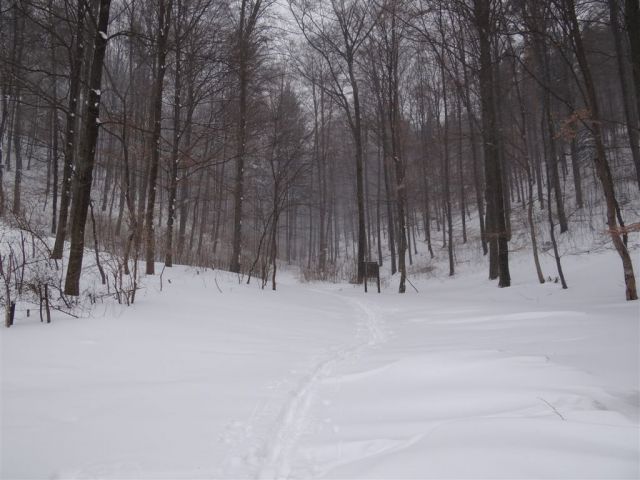 BOČ, 978 m v snegu, 12.2.2012 - foto