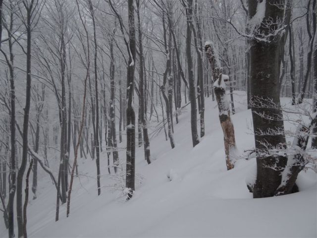 BOČ, 978 m v snegu, 12.2.2012 - foto