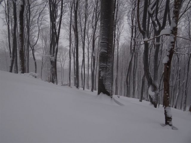 BOČ, 978 m v snegu, 12.2.2012 - foto