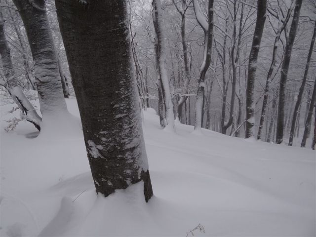 BOČ, 978 m v snegu, 12.2.2012 - foto