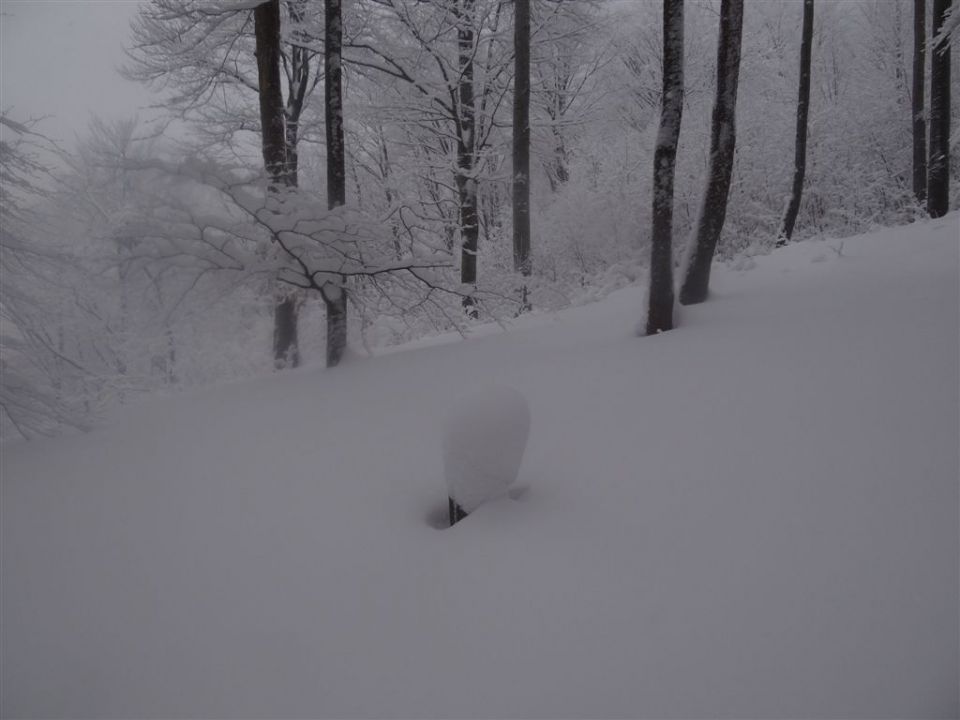 BOČ, 978 m v snegu, 12.2.2012 - foto povečava