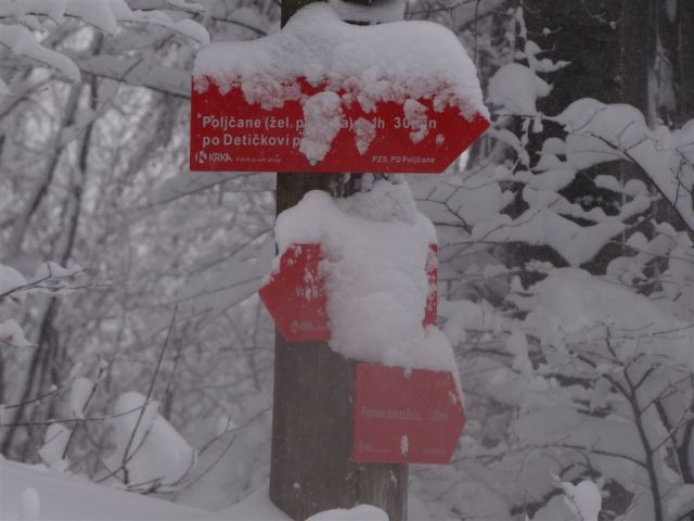 BOČ, 978 m v snegu, 12.2.2012 - foto