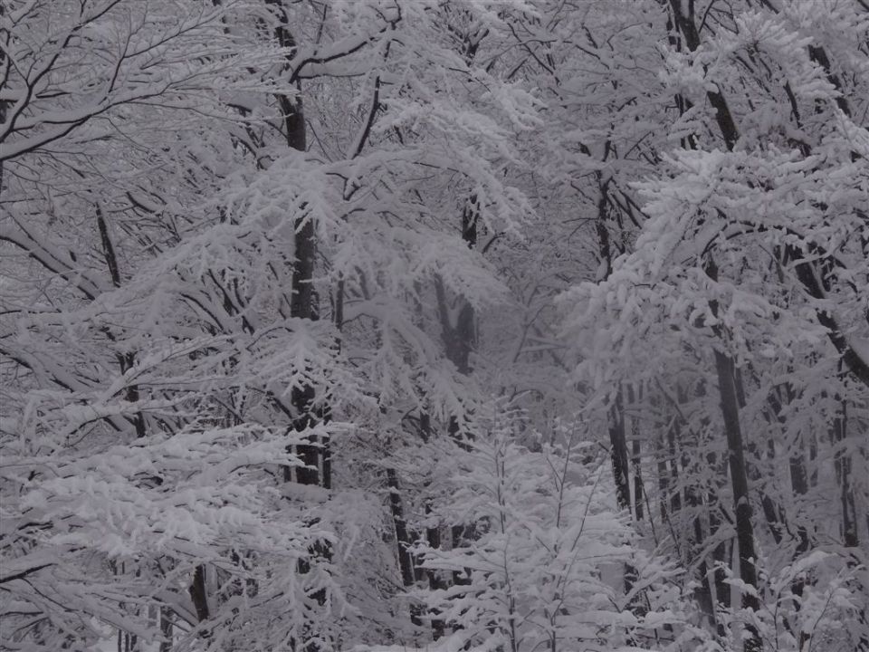 BOČ, 978 m v snegu, 12.2.2012 - foto povečava