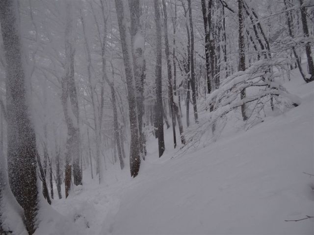 BOČ, 978 m v snegu, 12.2.2012 - foto