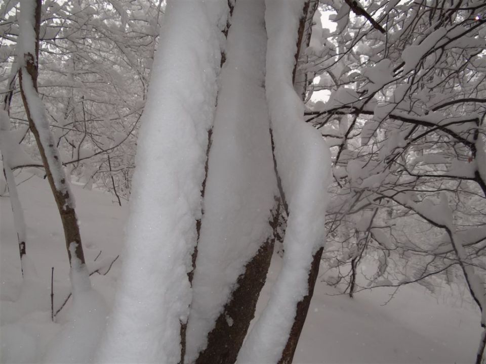 BOČ, 978 m v snegu, 12.2.2012 - foto povečava