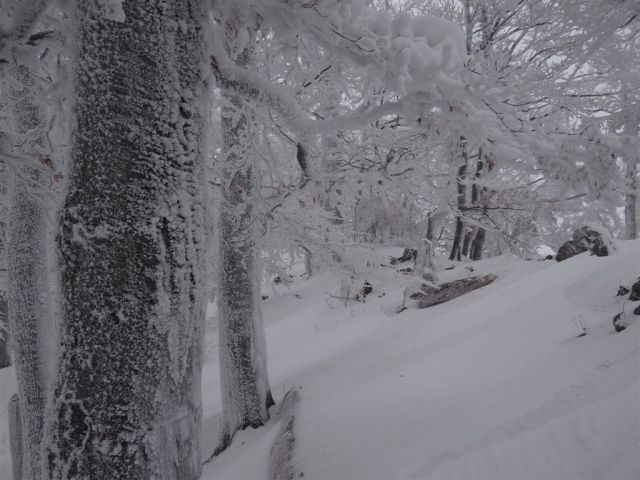 BOČ, 978 m v snegu, 12.2.2012 - foto