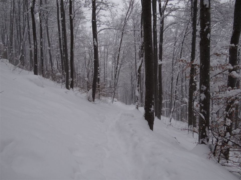 BOČ, 978 m v snegu, 12.2.2012 - foto povečava