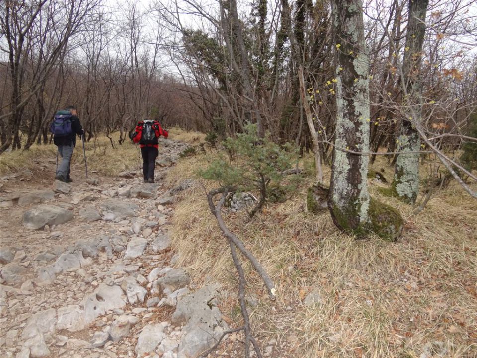 SLAVNIK,1028m in VREMŠČICA,1027m, 18.3.2012 - foto povečava