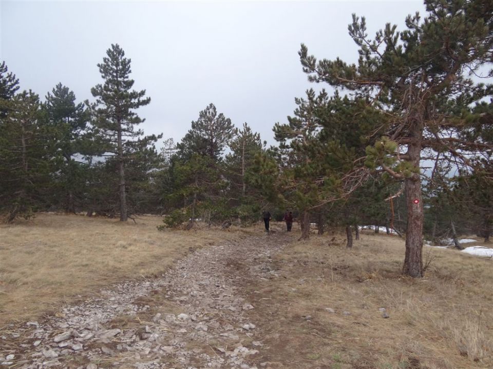 SLAVNIK,1028m in VREMŠČICA,1027m, 18.3.2012 - foto povečava