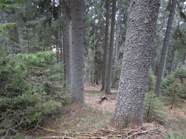 KOŠENJAK, 1522m in URŠLJA GORA, 1699 m - foto