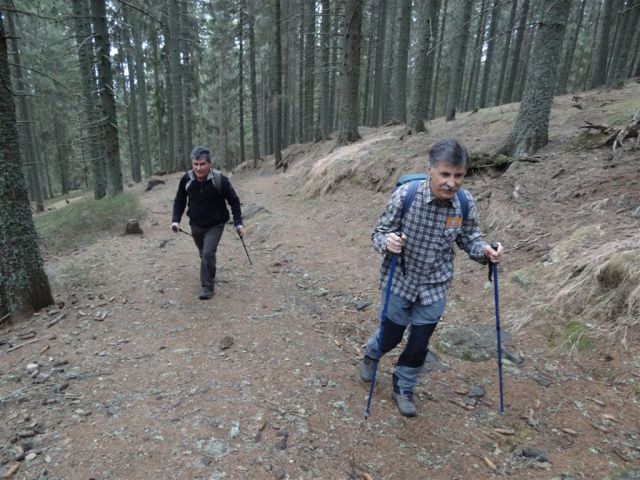 KOŠENJAK, 1522m in URŠLJA GORA, 1699 m - foto