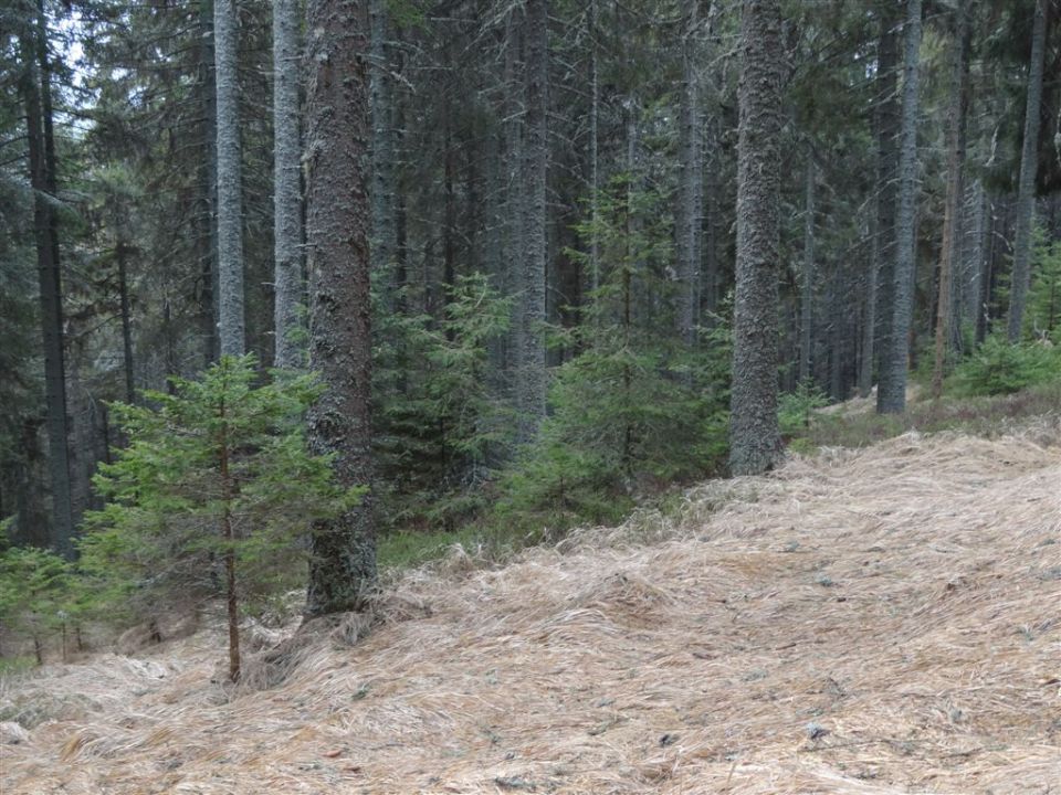 KOŠENJAK, 1522m in URŠLJA GORA, 1699 m - foto povečava