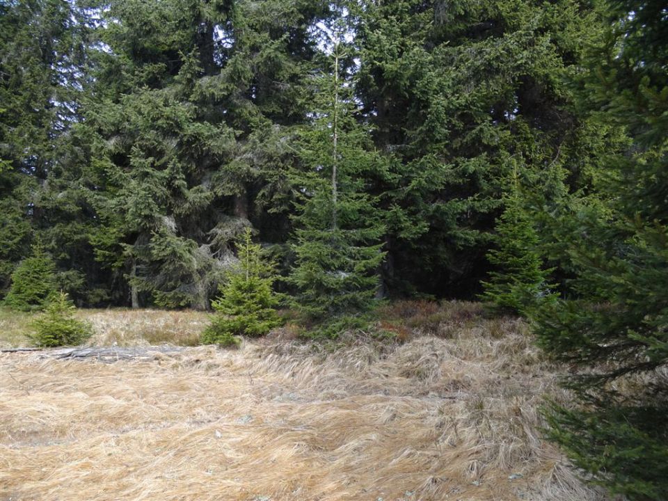 KOŠENJAK, 1522m in URŠLJA GORA, 1699 m - foto povečava