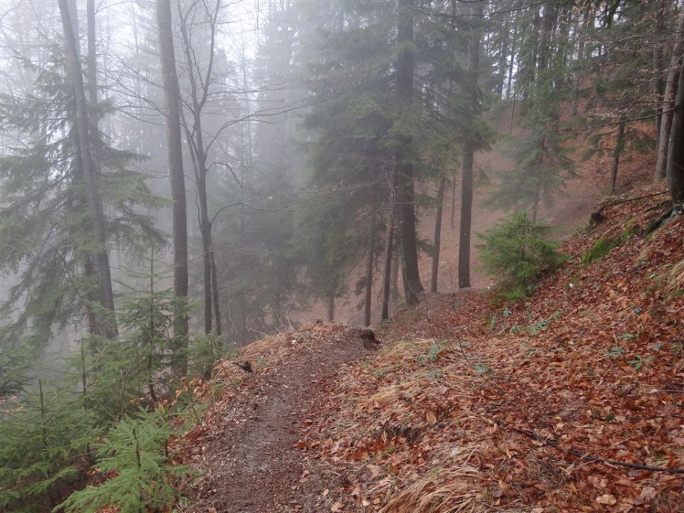 KOŠENJAK, 1522m in URŠLJA GORA, 1699 m - foto povečava