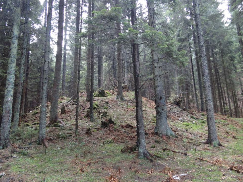 KOŠENJAK, 1522m in URŠLJA GORA, 1699 m - foto povečava