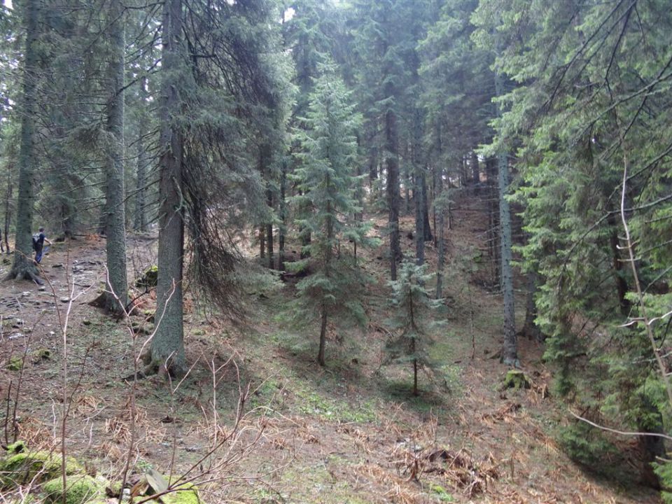 KOŠENJAK, 1522m in URŠLJA GORA, 1699 m - foto povečava